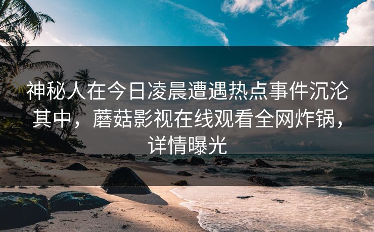 神秘人在今日凌晨遭遇热点事件沉沦其中,蘑菇影视在线观看全网炸锅,详情曝光