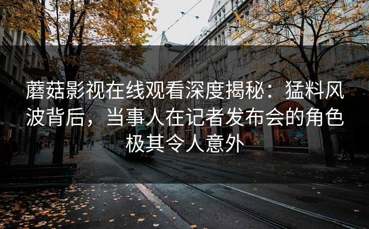 蘑菇影视在线观看深度揭秘：猛料风波背后，当事人在记者发布会的角色极其令人意外