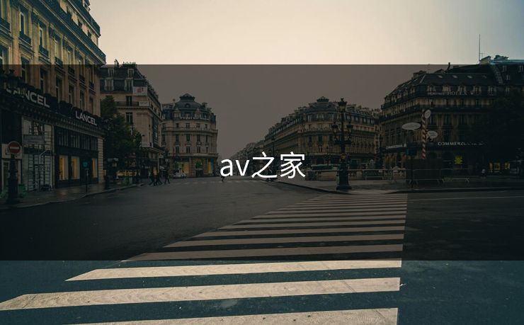 av之家