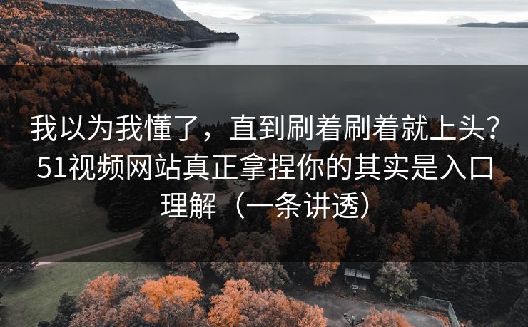 我以为我懂了，直到刷着刷着就上头？51视频网站真正拿捏你的其实是入口理解（一条讲透）